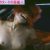 (再)【GIFアニメ】荻野目慶子Part7(女優)ヌード,濡れ場,いつかギラギラする日,木村一八,Oginome Keiko