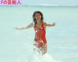 紺野美沙子