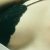 【GIFアニメ】工藤静香Part3(女性歌手,80年代女性アイドル)胸チラ,キスシーン,未来の想い出 Last Christmas,デビット伊東,Kudo Shizuka