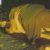 【GIFアニメ】佐藤寛子Part3(女優,グラビアアイドル)ヘアヌード,濡れ場,巨乳,ヌードの夜 愛は惜しみなく奪う,竹中直人,Sato Hiroko