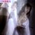 【GIFアニメ】原田美枝子Part28(女優)横乳見え,背中見え,水着,濡れ場,となりの女,Harada Mieko