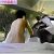 【GIFアニメ】近内仁子Part1(女優)背中見え,胸元見え,お玉・幸造夫婦です,斉木しげる,Konnai Jinko