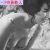 【GIFアニメ】紺野ユカPart3(50～60年代女優)胸チラ,胸の谷間,ビキニ,水着,獣の戯れ,伊藤孝雄,工藤堅太郎,Konno Yuka